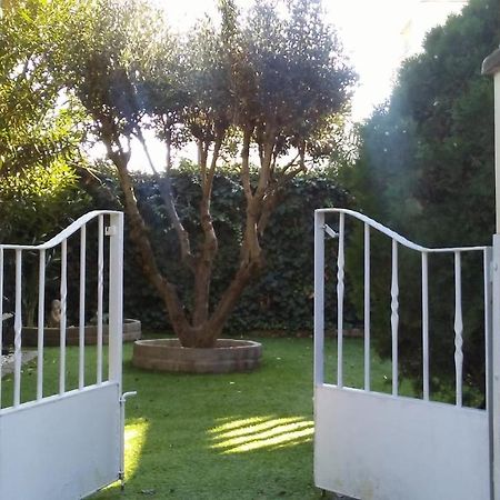 Bodega Intima Apartment Zaragoza Bagian luar foto